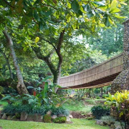 Puente colgante entre jardines y estructuras de piedra en Parque Chatún