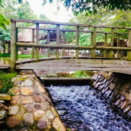 Puente de madera sobre un riachuelo en Parque Chatún