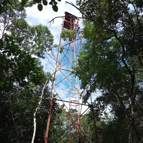 Torre metálica entre los árboles del Parque Ecológico Calvani
