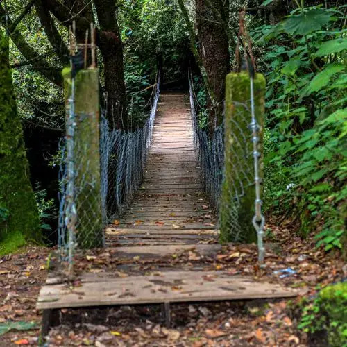 Puente colgante de madera entre los árboles de Chajil Siwan