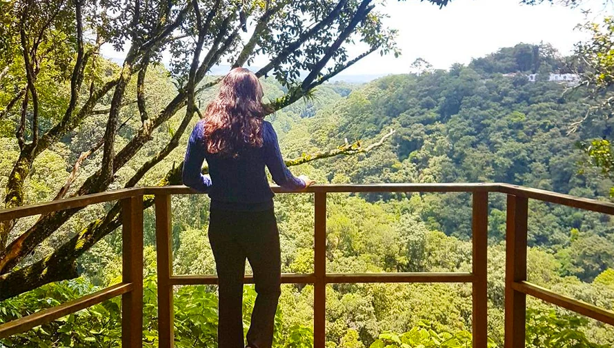 Mujer observa un bosque desde un mirador de madera del parque