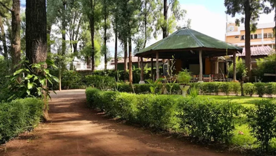 Parque Ecológico Ciudad Nueva: guía de senderos, canopy y miradores