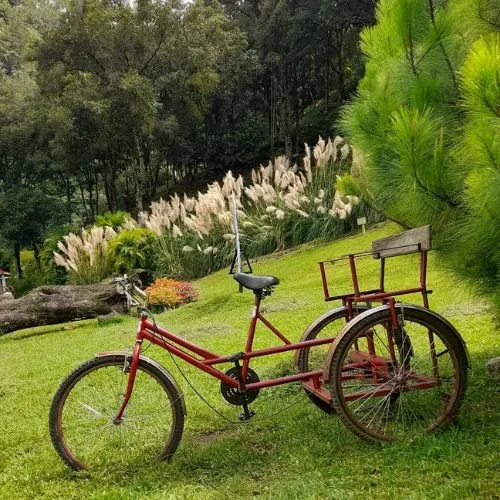 Bicicleta en un jardín con senderos del Parque Ecológico Don Juan