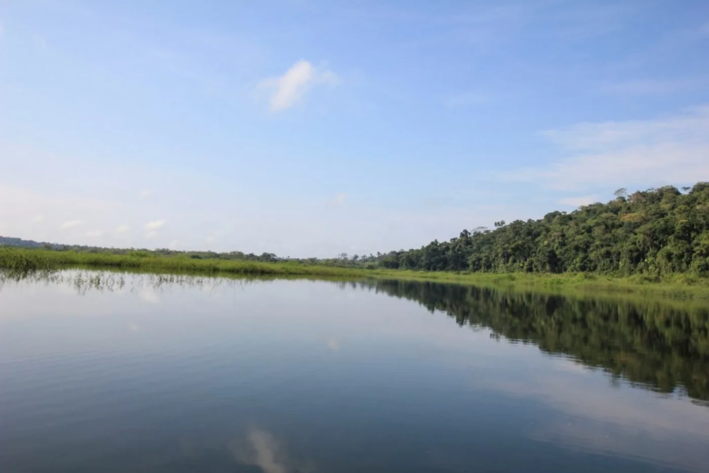 Parque Ecológico La Asunción: guía para planificar la visita