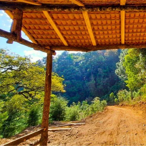 Sendero y área de descanso entre bosque en el Parque Ecológico Las Azucenas