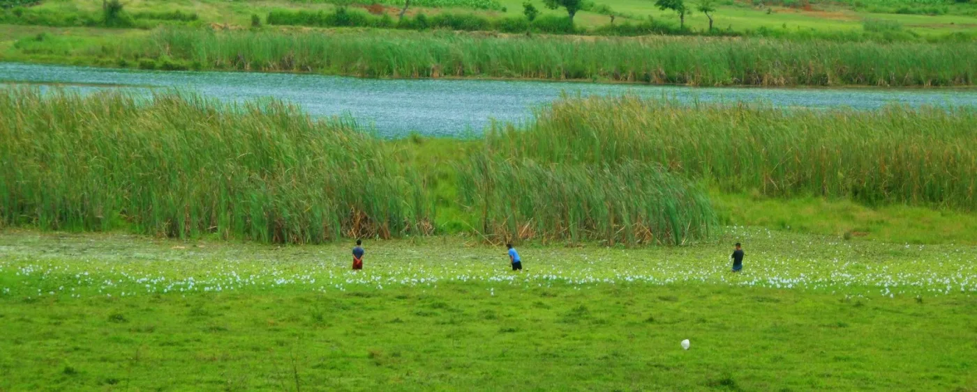 Parque Ecológico Pino Dulce, Jalapa: guía para visitar el bosque, imagen de contexto