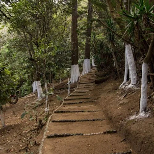 Escalinata de un sendero boscoso del Parque Ecológico Xibalbá