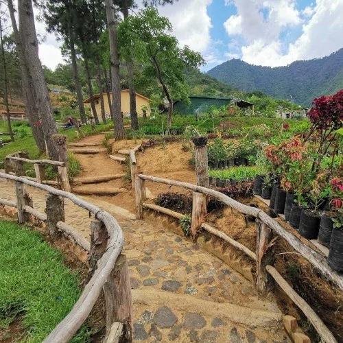 Sendero de piedra entre plantas y árboles en el Parque Ecoturístico Cerro El Niño