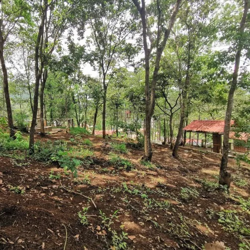 Área boscosa con ranchito del Parque Ecoturístico Cerro El Niño