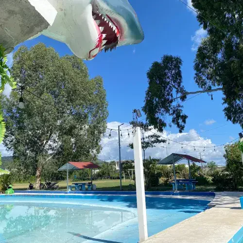 Piscina con estructura temática de tiburón en Hacienda Suiza