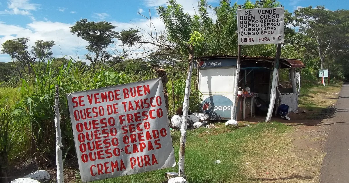 Quesos artesanales de Guatemala: tipos, regiones y cómo comprar