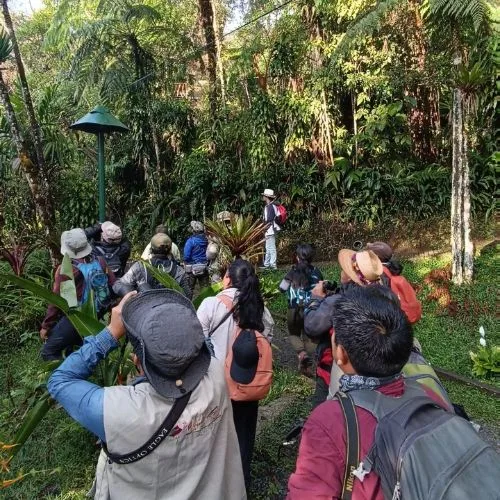 Grupo observa aves entre los árboles de Ranchitos del Quetzal