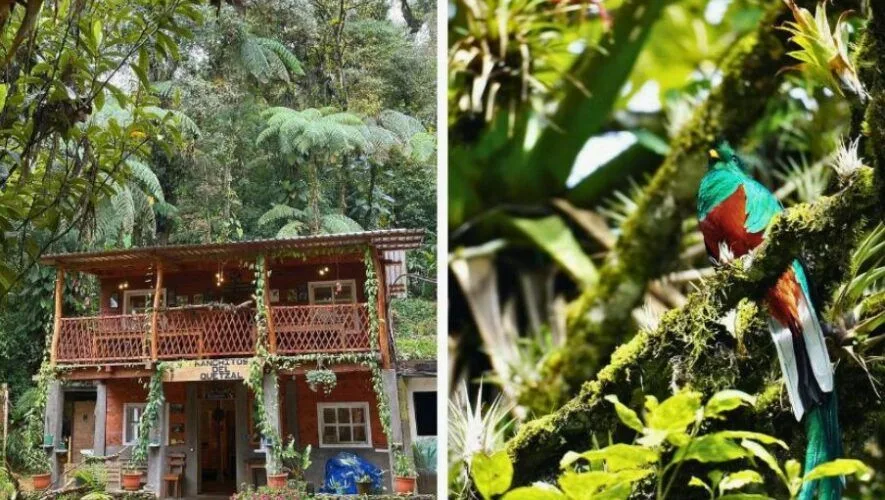Ranchitos del Quetzal en Purulhá: guía para hospedarse