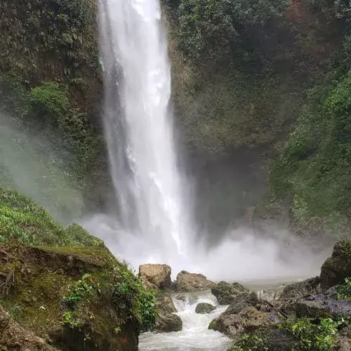 Cascada rodeada de bosque en la Reserva Finca Caquipec
