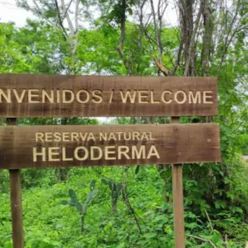 Rótulos de madera rodeados de vegetación en la Reserva Natural Heloderma