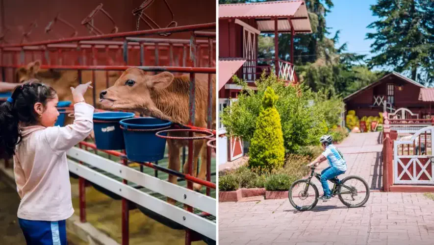 Rincón Suizo Farm en Tecpán: guía de actividades familiares