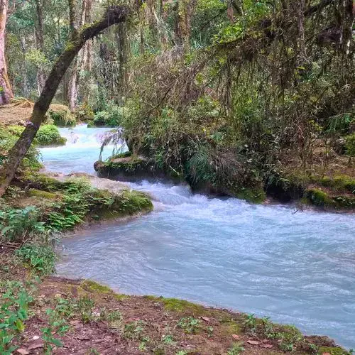 Río Azul de agua clara entre bosque en Jacaltenango