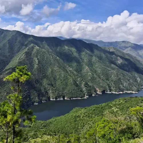 Montañas boscosas junto al agua en el entorno de Río Negro