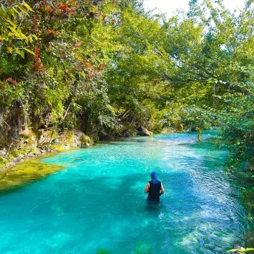 Persona dentro del agua turquesa del Río Quisil entre árboles