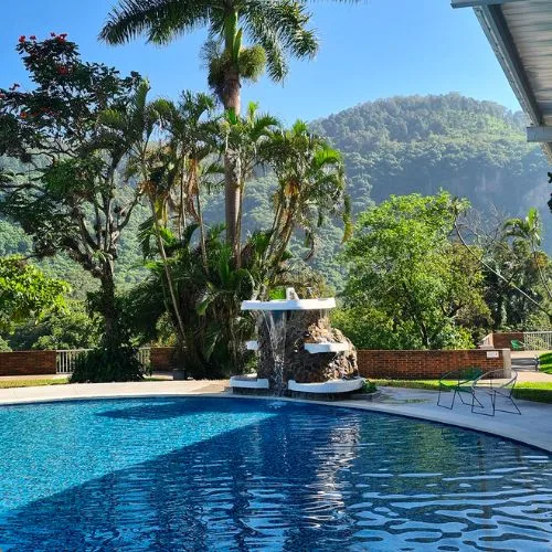 Piscina rodeada de palmeras y vegetación en El Rocarena