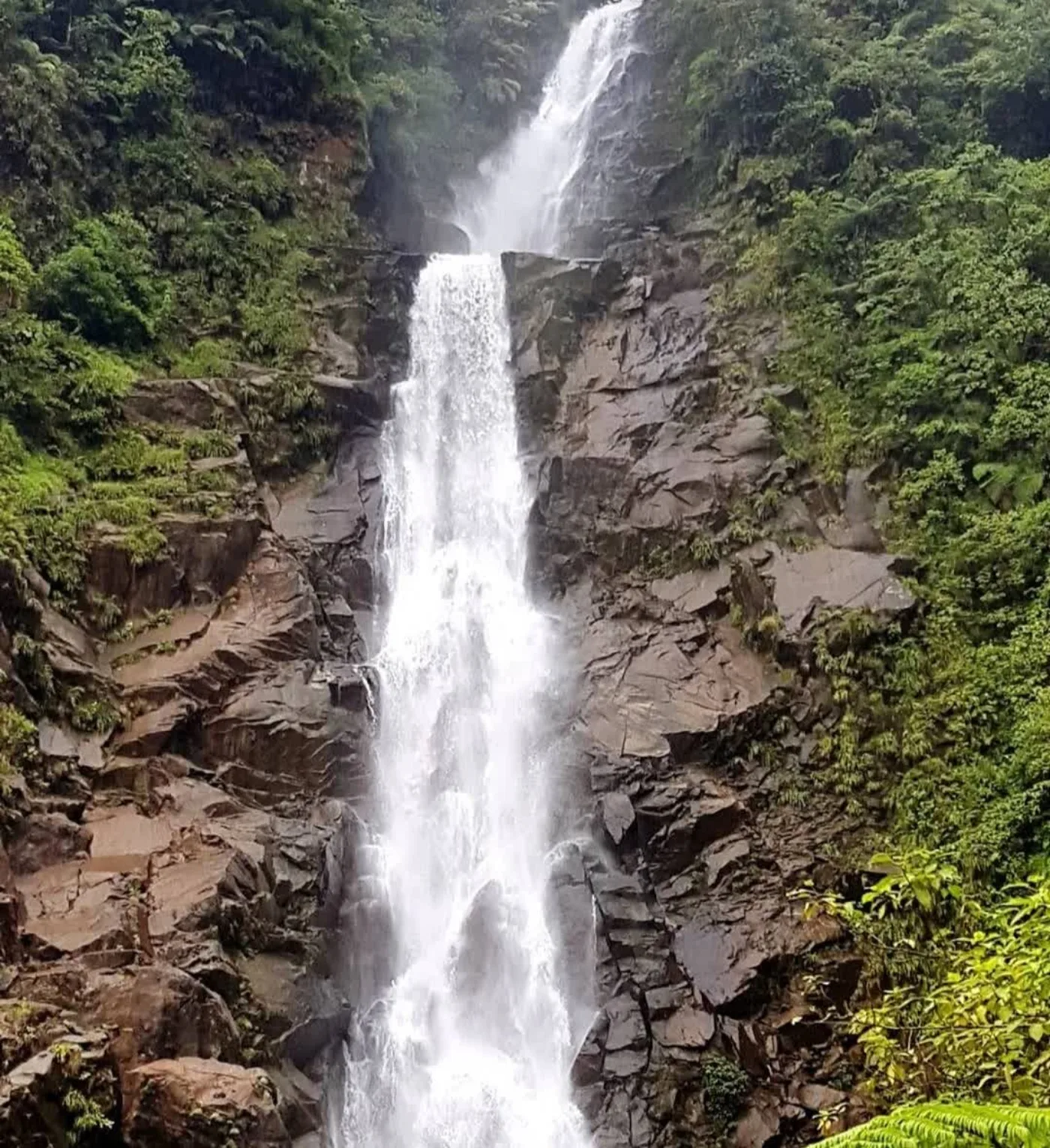 Ruta de cascadas cerca de Ciudad de Guatemala: opciones para un día, imagen de contexto