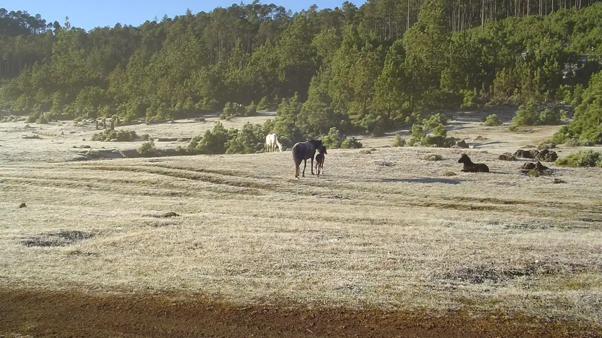 Sierra de los Cuchumatanes: altura, relieve y datos clave