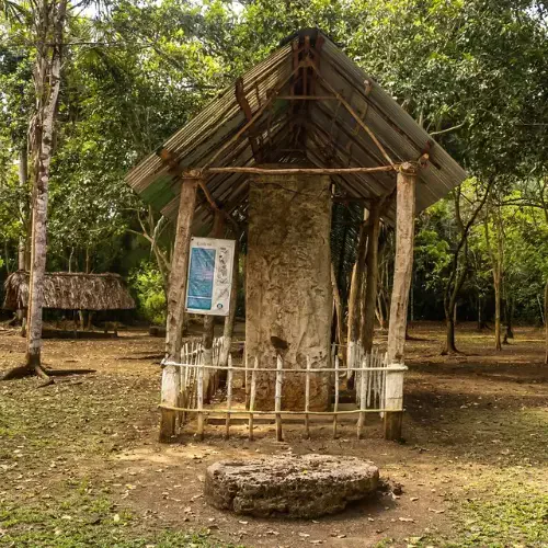 Estructura arqueológica protegida entre el bosque del sitio El Chal