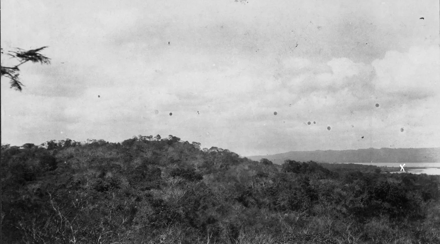 Amanecer en Tikal: cómo planificar la experiencia y qué confirmar