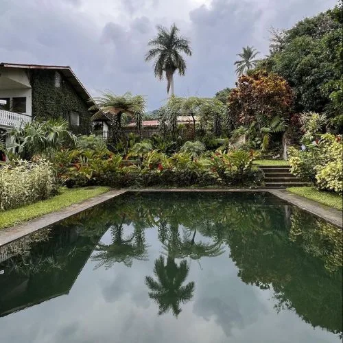 Piscina rodeada de jardines en Trópica Reserve