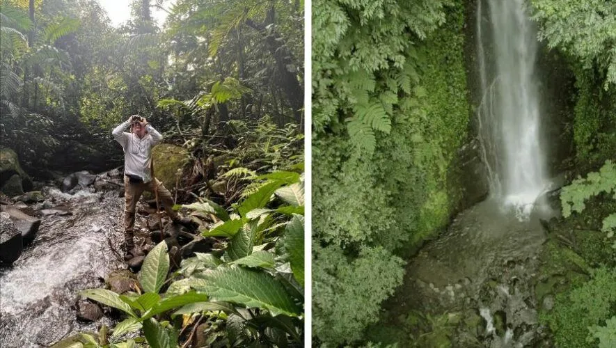 Trópica Reserve en Chicacao: guía de naturaleza y hospedaje