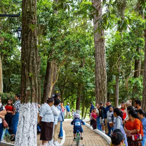 Personas observan a un ciclista en un caminamiento arbolado del turicentro