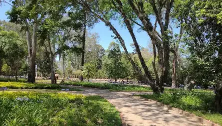 Senderos y jardines del Parque Minerva en la zona 2