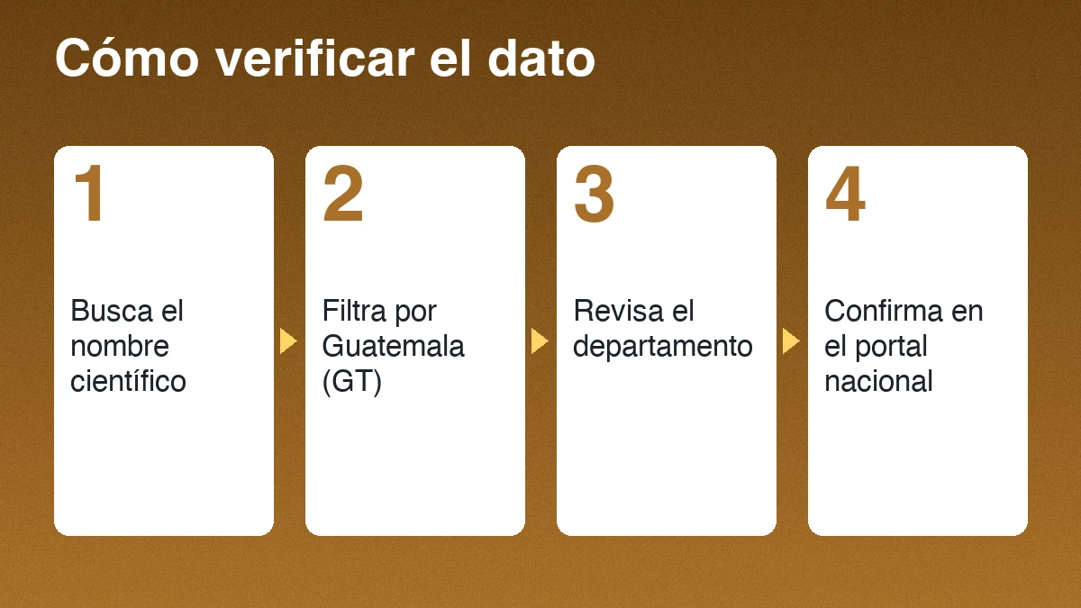 Cuatro pasos para verificar un registro de puma: buscar el nombre científico, filtrar por Guatemala, revisar el departamento y confirmar en el portal nacional