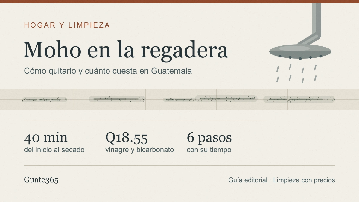 Moho en la regadera: cómo quitarlo paso a paso y cuánto cuesta