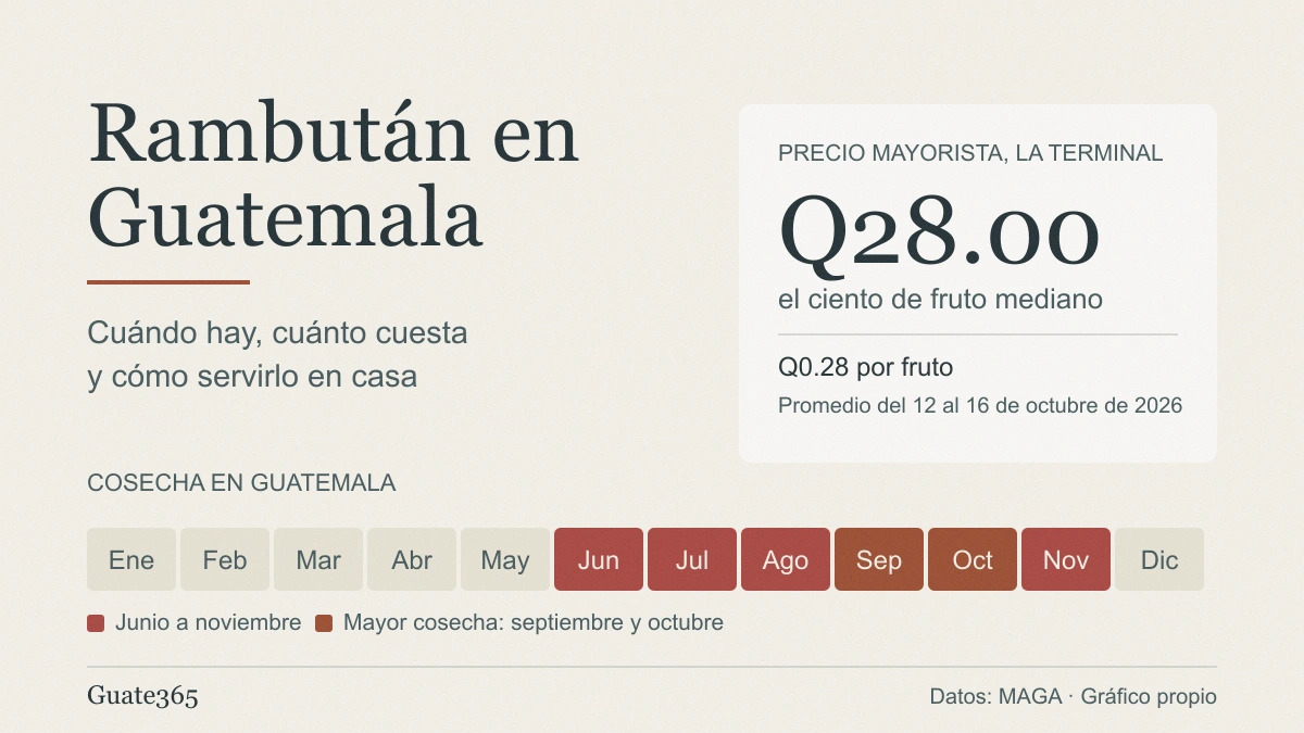 Portada con el precio mayorista del rambután en La Terminal, Q28.00 el ciento, y una tira de los doce meses con la cosecha marcada de junio a noviembre