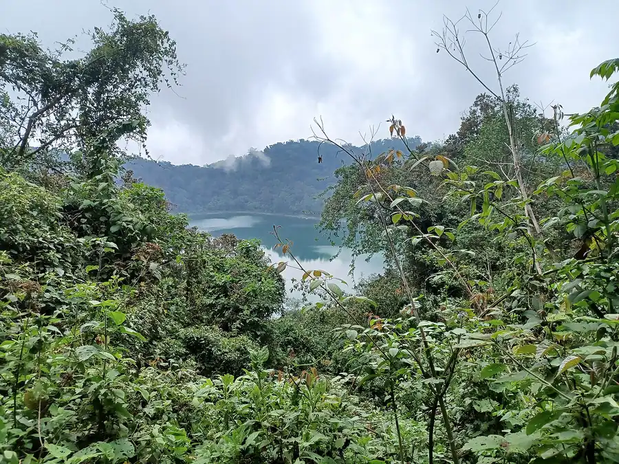 Vista de la laguna de Chicabal entre la vegetación del bosque nuboso