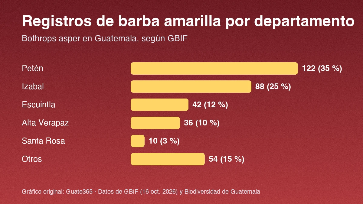 Barras con registros de barba amarilla por departamento en Guatemala: Petén 122, Izabal 88, Escuintla 42, Alta Verapaz 36, Santa Rosa 10, otros 54