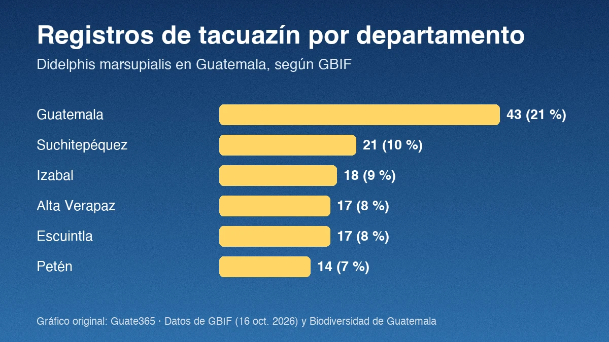 Gráfico de barras con registros de tacuazín por departamento: Guatemala 43, Suchitepéquez 21, Izabal 18