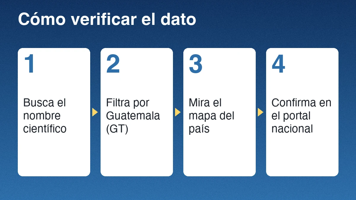 Cuatro pasos para verificar el dato de una especie: busca el nombre científico, filtra por Guatemala, mira el mapa y confirma en el portal nacional