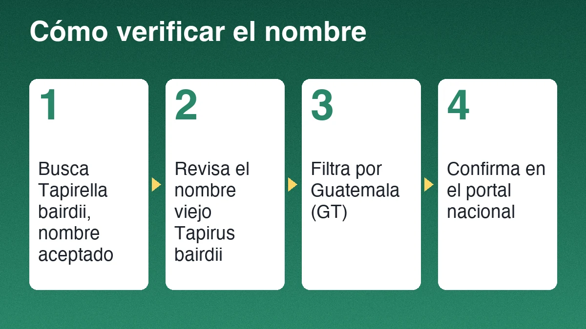 Cuatro pasos para verificar un registro de tapir: buscar el nombre científico, filtrar por Guatemala, revisar el departamento y confirmar en el portal nacional