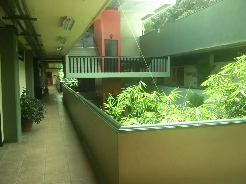 Pasillo interior de un edificio universitario, con plantas y un barandal