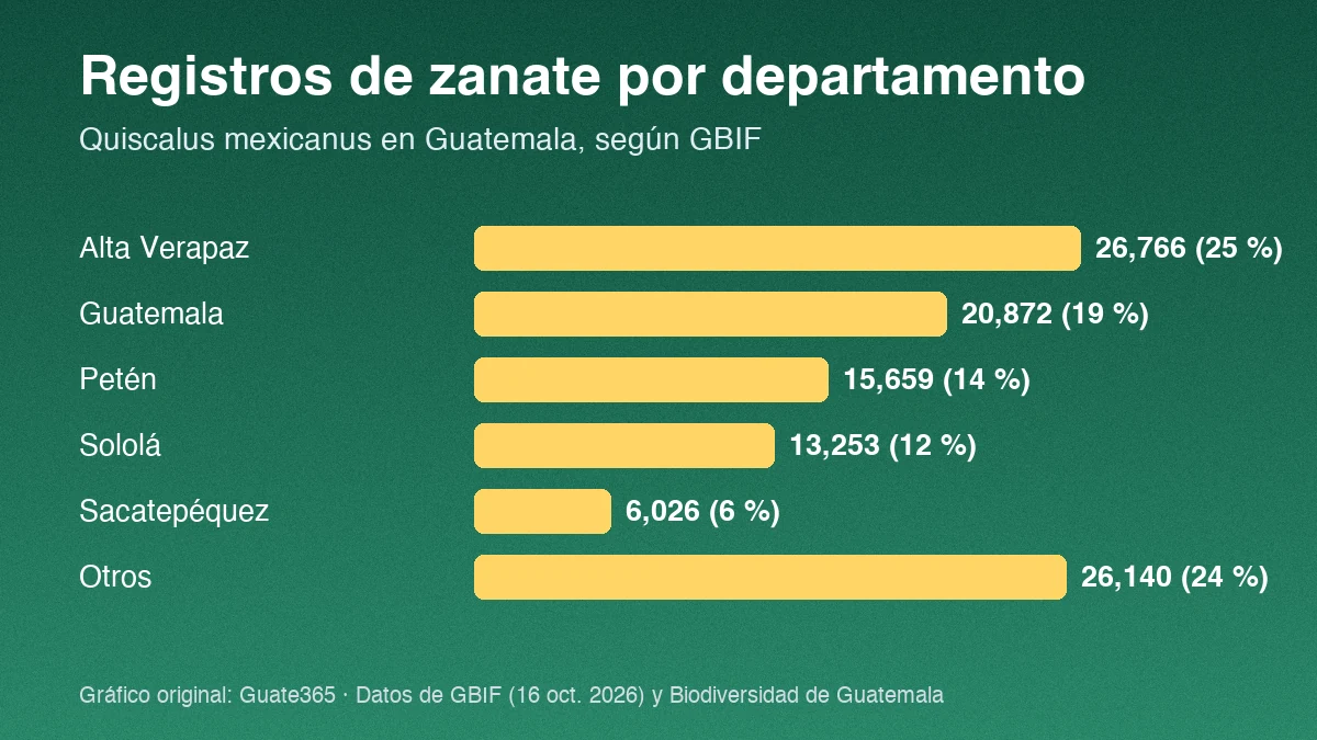 Barras con registros de zanate por departamento en Guatemala: Alta Verapaz 26,766; Guatemala 20,872; Petén 15,659; Sololá 13,253; Sacatepéquez 6,026