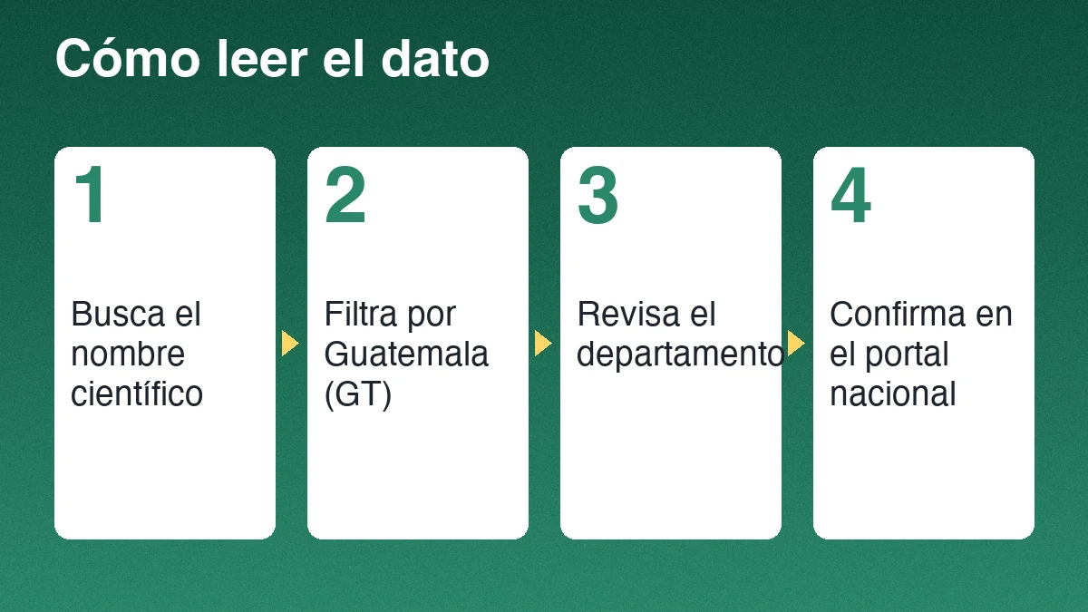 Cuatro pasos para verificar un registro de zanate: buscar el nombre científico, filtrar por Guatemala, revisar el departamento y confirmar en el portal nacional