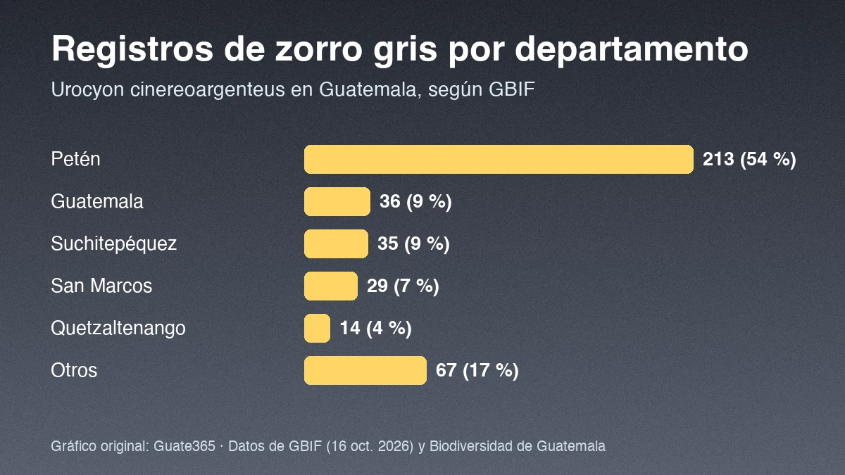 Barras con registros de zorro gris por departamento en Guatemala: Petén 213, Guatemala 36, Suchitepéquez 35, San Marcos 29, Quetzaltenango 14, otros 67