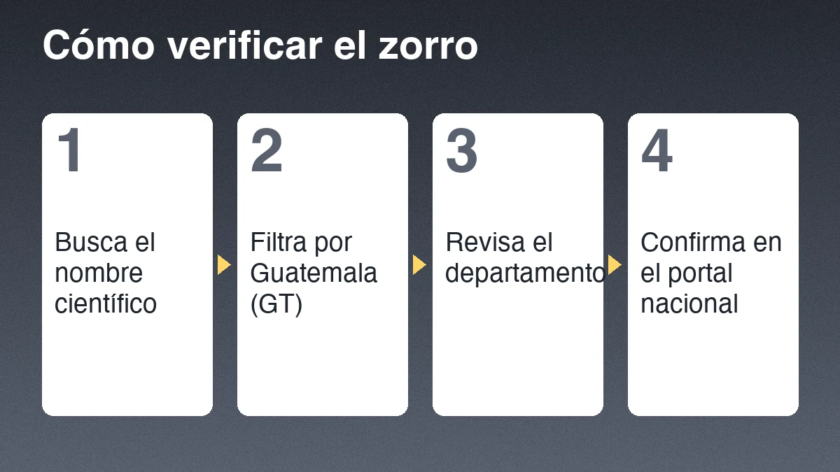 Cuatro pasos para verificar un registro de zorro gris: buscar el nombre científico, filtrar por Guatemala, revisar el departamento y confirmar en el portal nacional