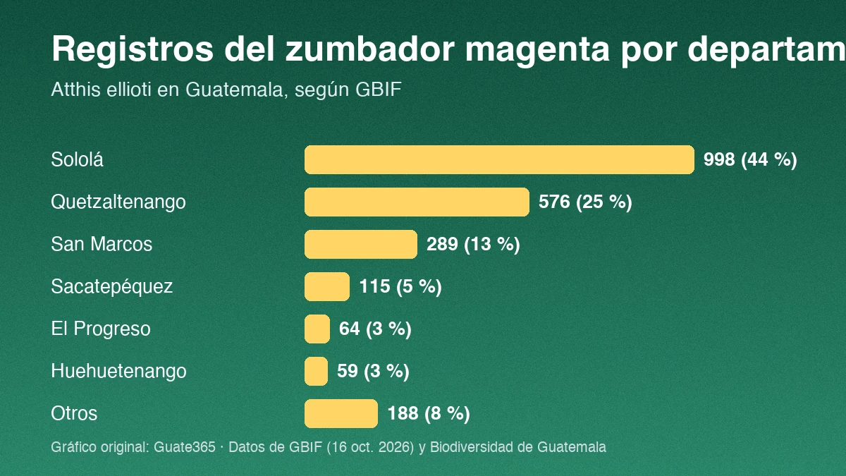 Barras con registros del zumbador magenta por departamento en Guatemala: Sololá 998, Quetzaltenango 576, San Marcos 289, Sacatepéquez 115, El Progreso 64, Huehuetenango 59 y otros 188