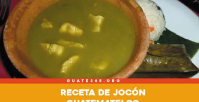 Jocon guatemalteco