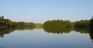 Donde está ubicada Reserva Natural Manchón Guamuchal en Retalhuleu