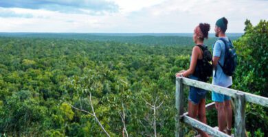 Sitio Arqueológico el Mirador en Petén