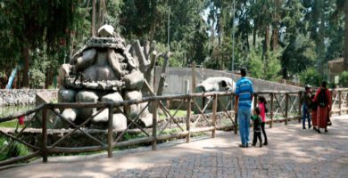 Zoológico Minerva en Quetzaltenango